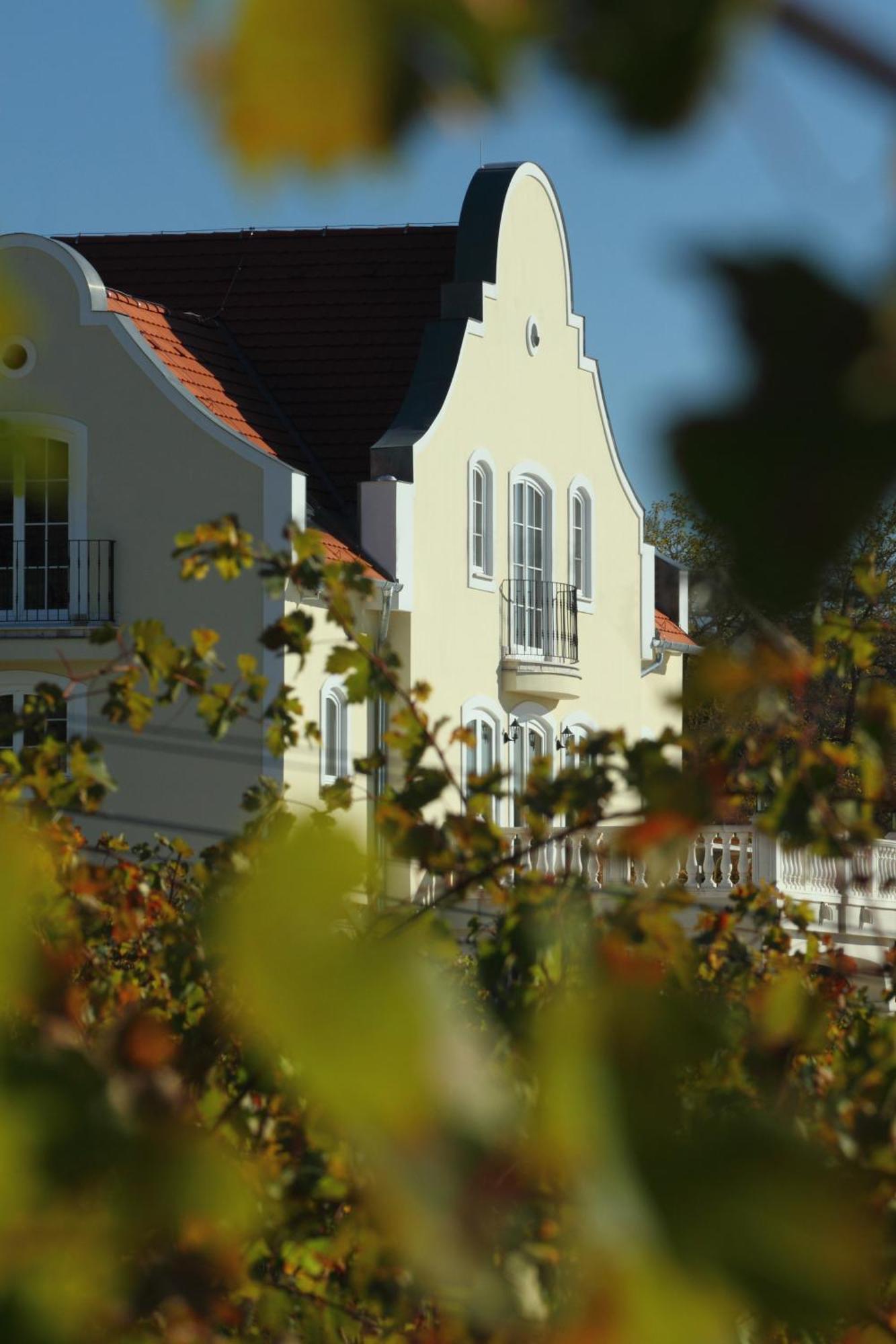 Liszkay Borkuria Hotel Monoszlo Ngoại thất bức ảnh